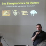 P1030317 copie